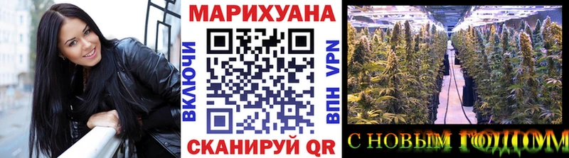 Шишки марихуана планчик  Купить где  Абаза 